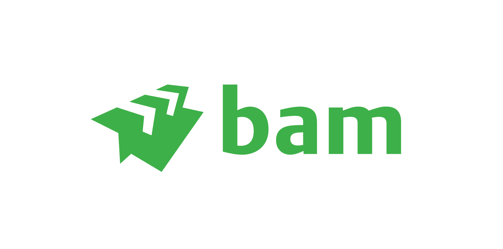 BAM Infra logo